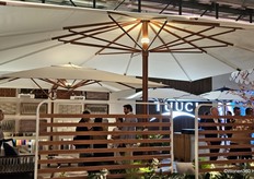 Enorme parasols van Tuuci.